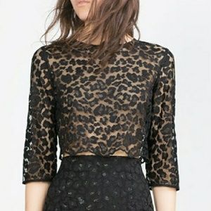 Zara Leopard Lace Top